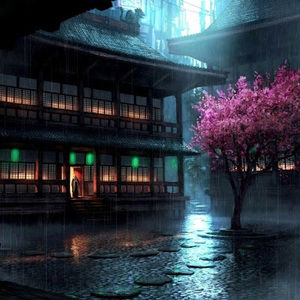 Meet your Posher, Joanne